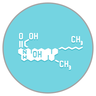 ceramide based moisturizer Ingredients